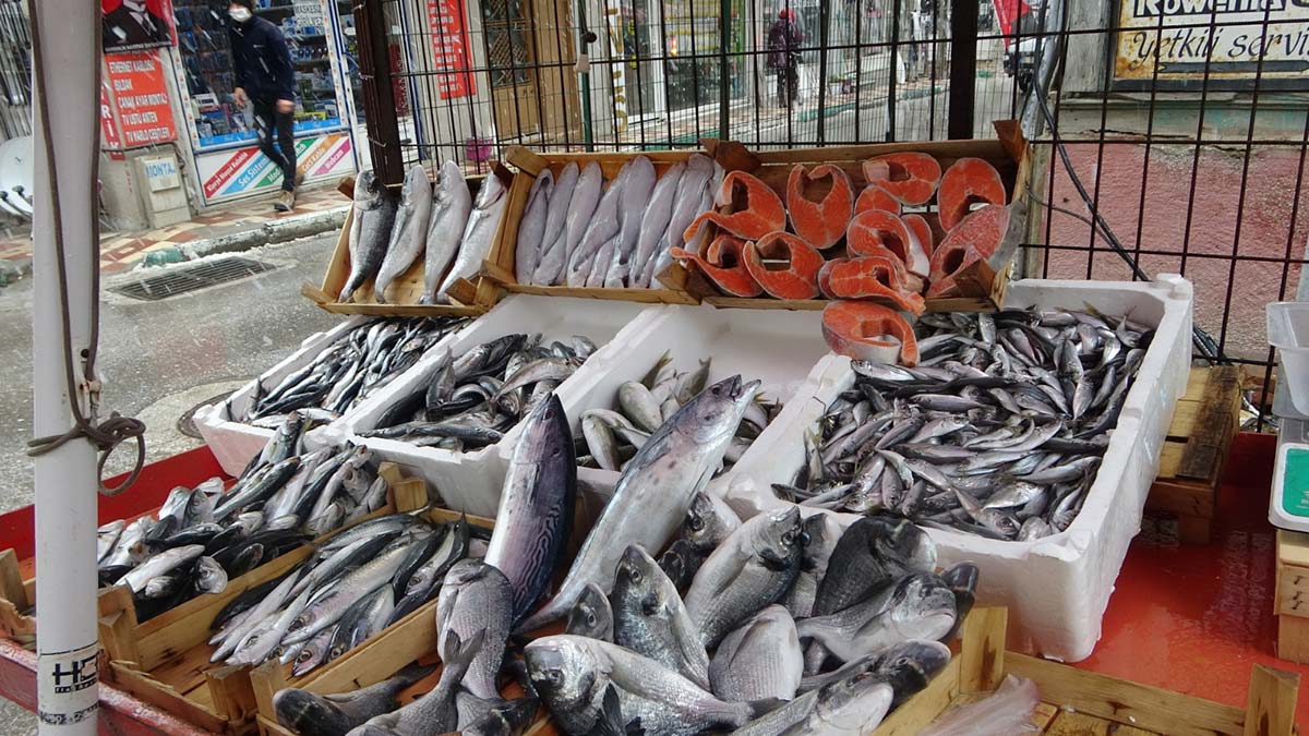 Kaçak avcılık nedeniyle balıkçılık sektörü sıkıntı yaşıyor