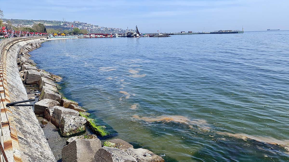 Müsilajla denizi öldürebiliriz