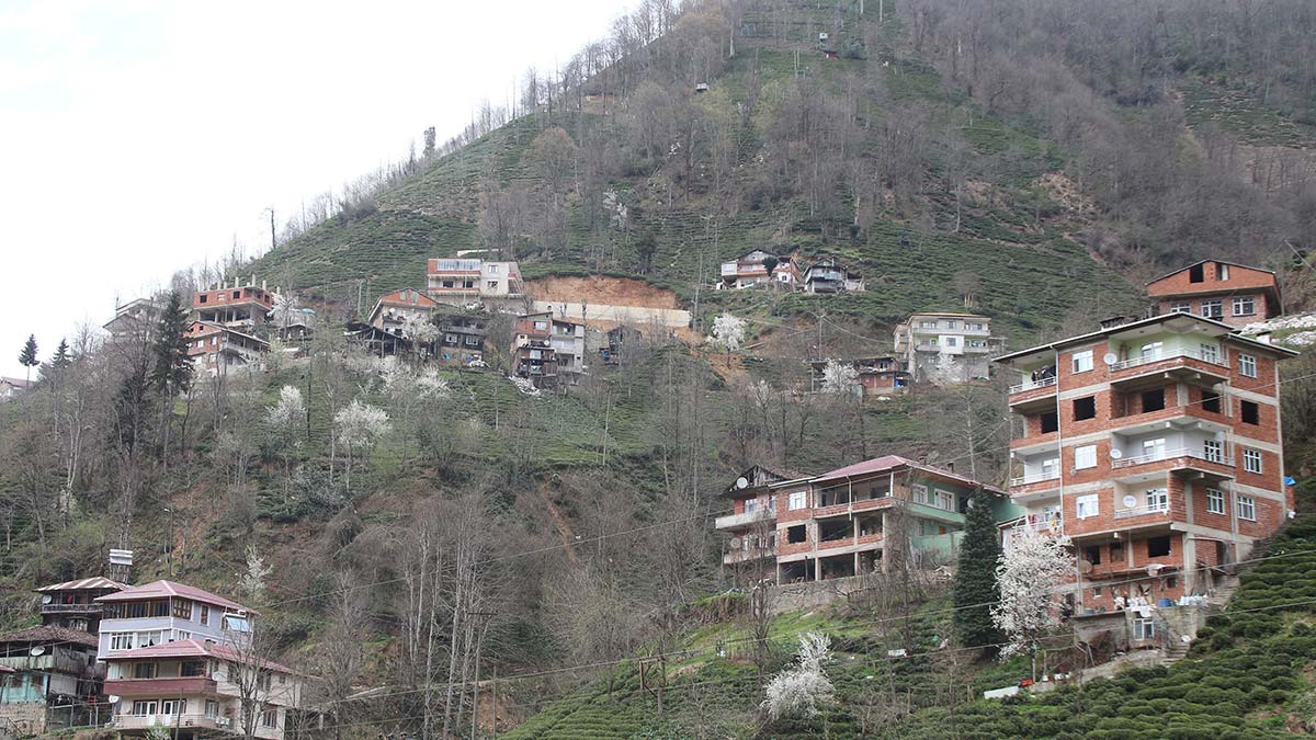 Rize'de yamaçlara istinat duvarı önlemi