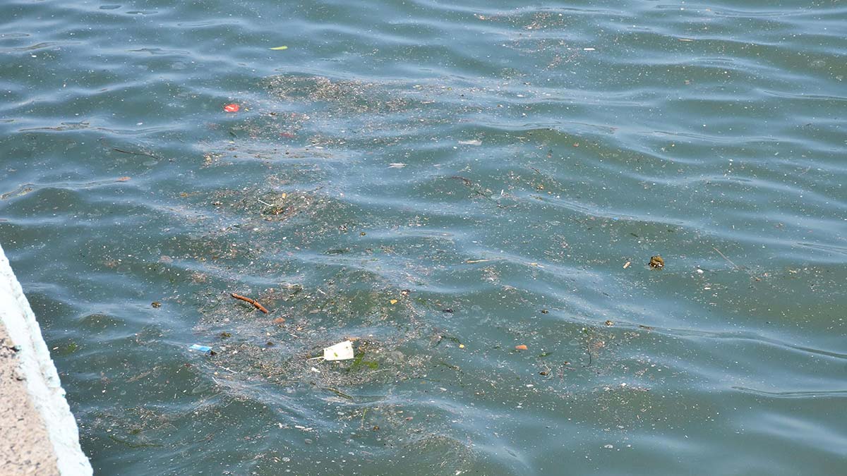 Tekirdağ'ın Süleymanpaşa ilçesi Belediye Başkanı Cüneyt Yüksel, Tekirdağ Büyükşehir Belediyesi Su ve Kanalizasyon İdaresi'nin (TESKİ), Marmara Denizi'ne kanalizasyon atığı bıraktığını iddia etti.