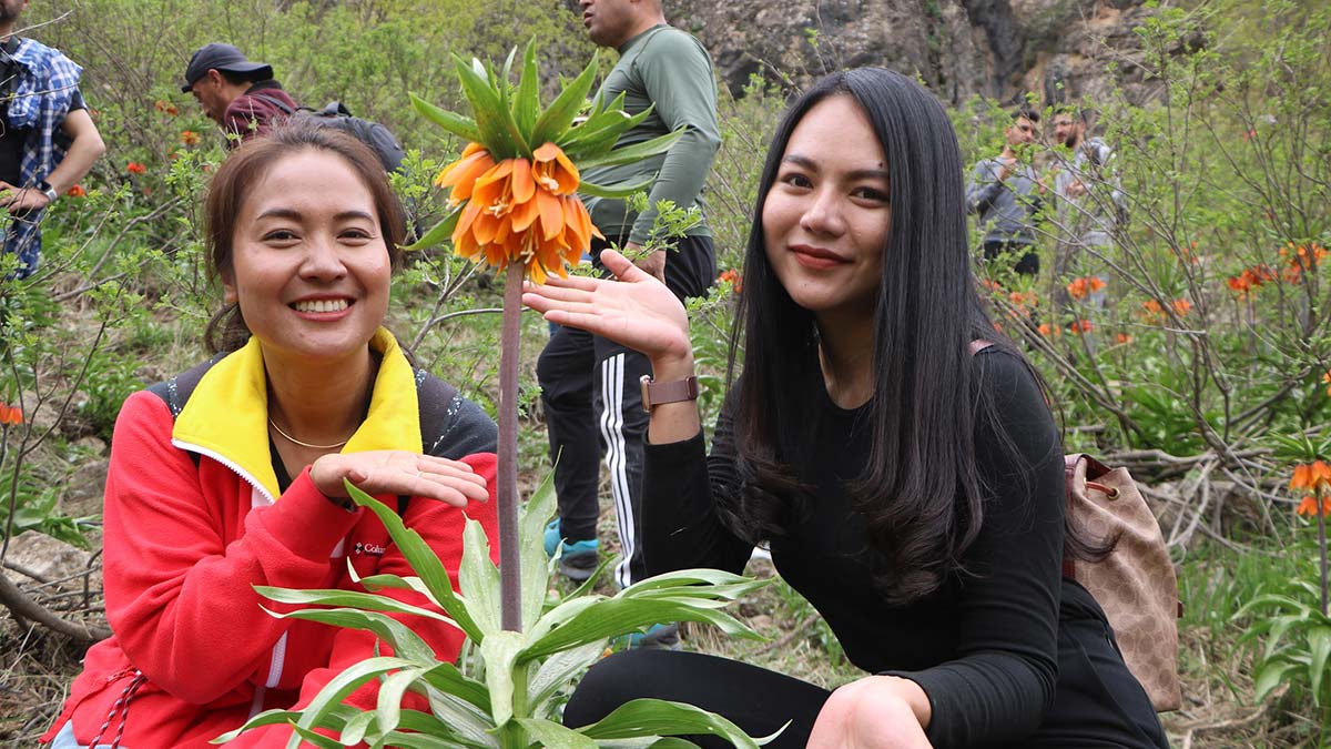 Turistler ters laleleri görmek için Hakkari'ye geldi