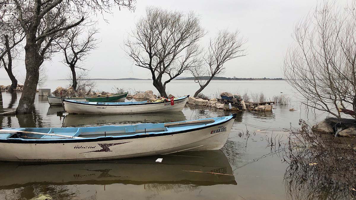 Uluabat Gölü'nde su çürüyor
