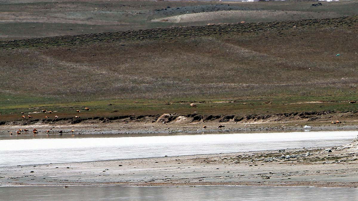 Tuz Gölü yeniden su tuttu