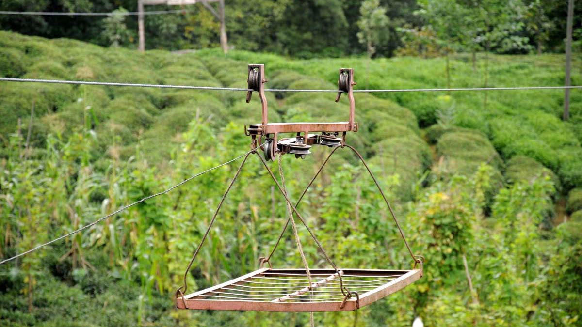 Varangeller hırsızların hedefi oldu