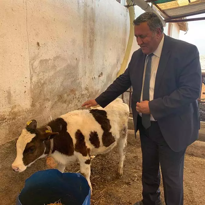 Besiciler, chp milletvekili gürer’e dert yandı… besiciler "süt fiyatları artmasın, girdi maliyetleri sabitlensin, hayvanlara ölmeyecekleri kadar yem verebiliyoruz" dedi.