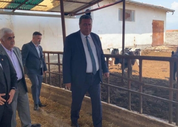 Süt fiyatları artmasın girdi maliyetleri sabitlensin