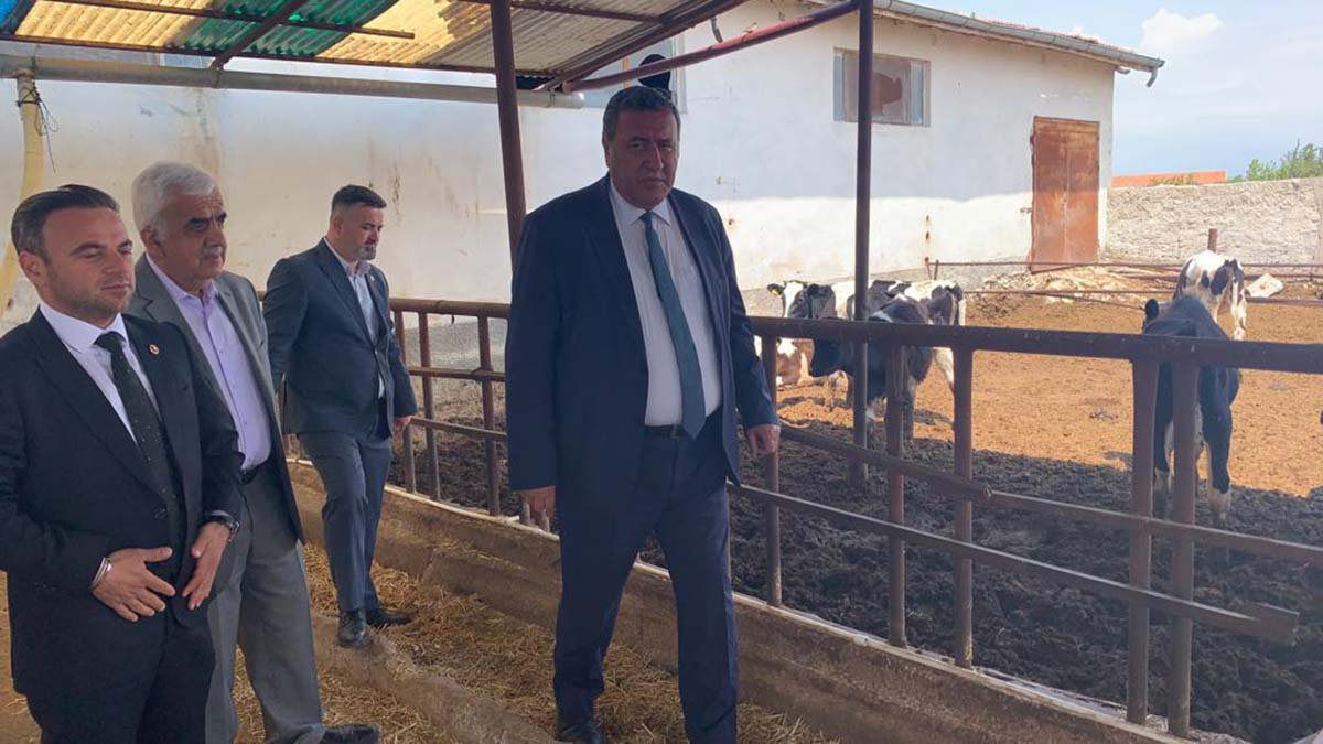 Süt fiyatları artmasın girdi maliyetleri sabitlensin