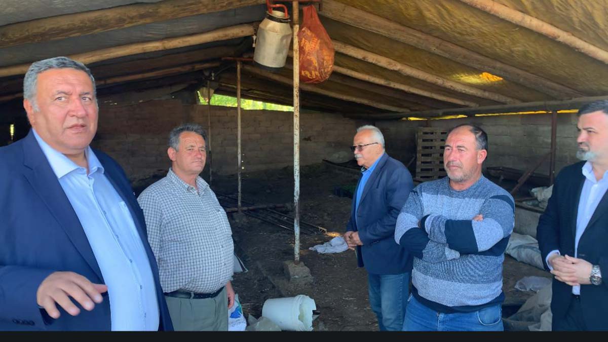 Ahırlar boşalıyor