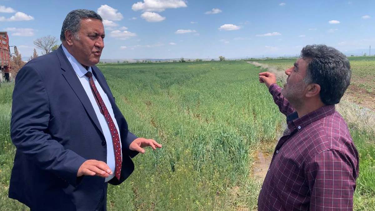 Gübresiz buğdaydan hayır yok