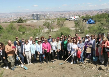 Büyükelçi eşleri Bademlidere'de ağaç dikti