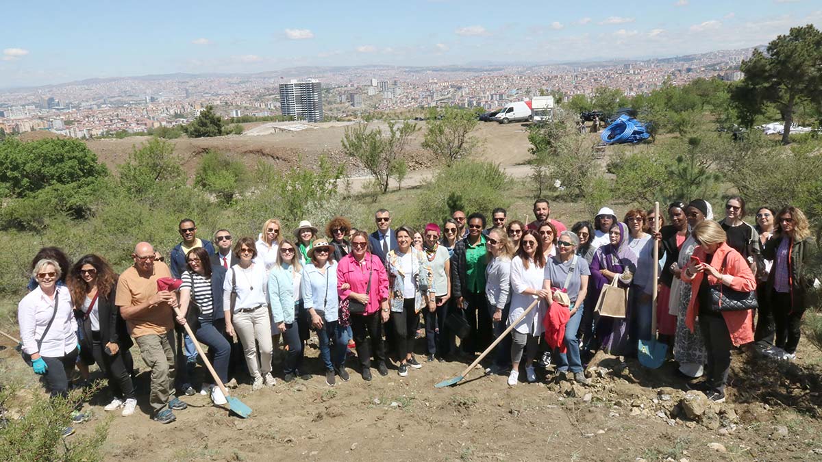 Büyükelçi eşleri Bademlidere'de ağaç dikti