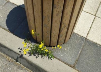 Hak etmediğin yerde misin?