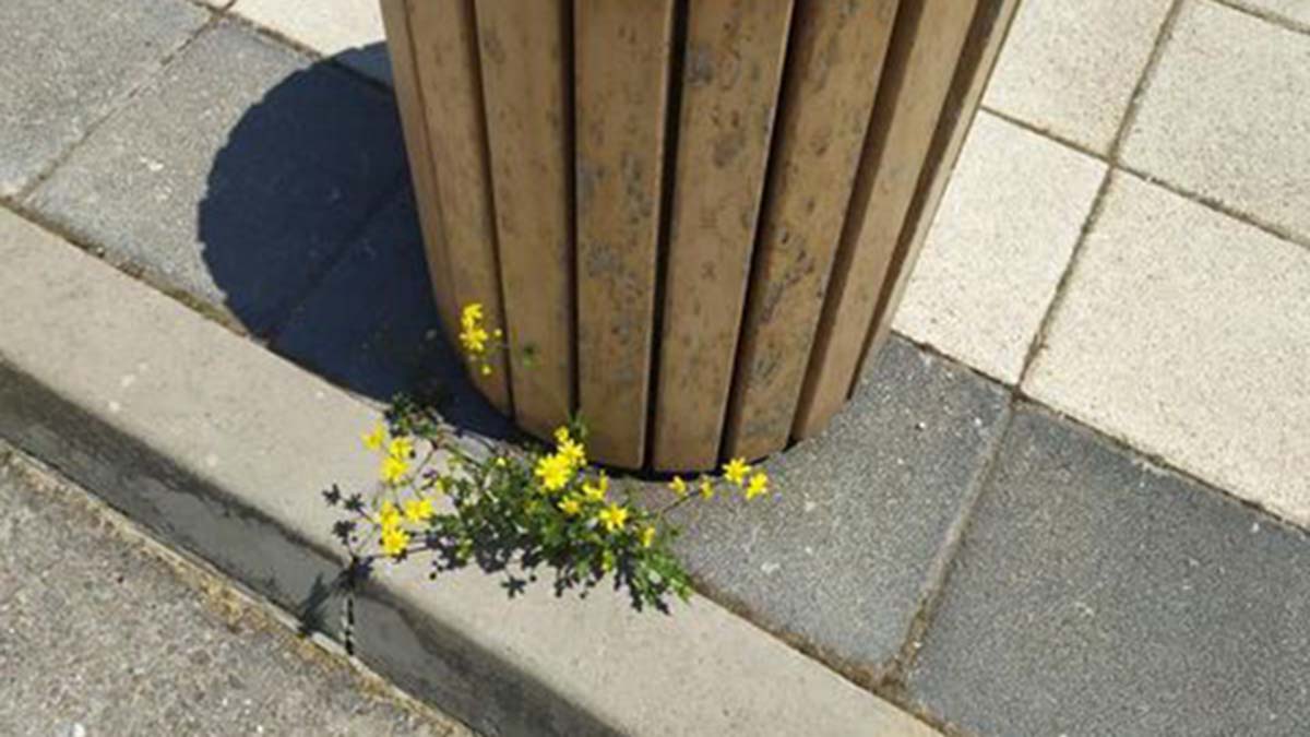 Hak etmediğin yerde misin?