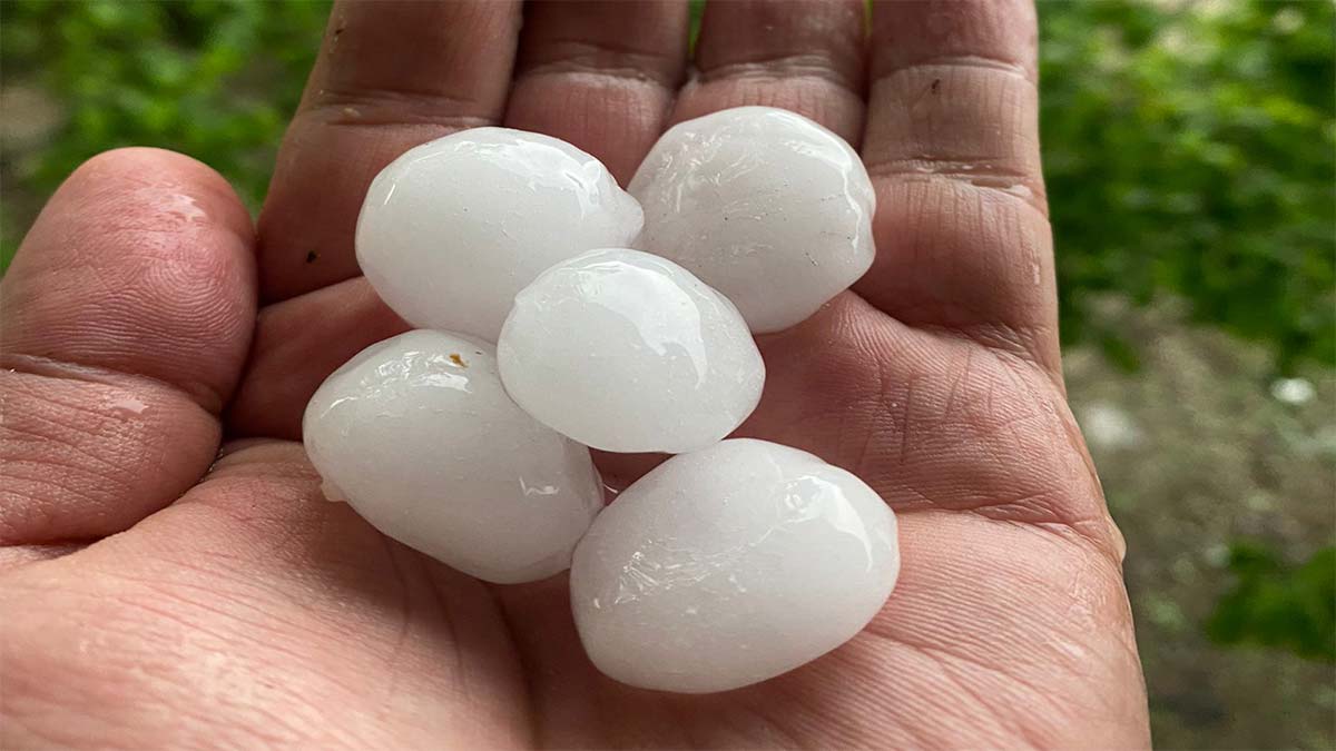 Adana'da dolu etkili oldu