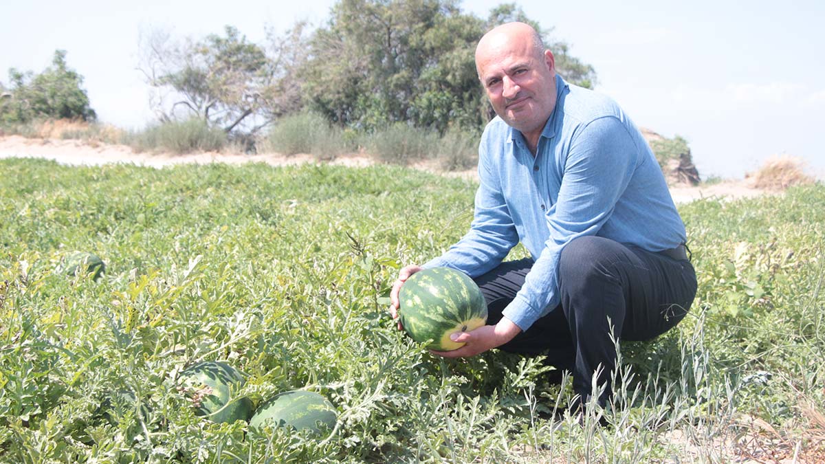 Adana’da karpuzun hasadına sayılı günler kaldı