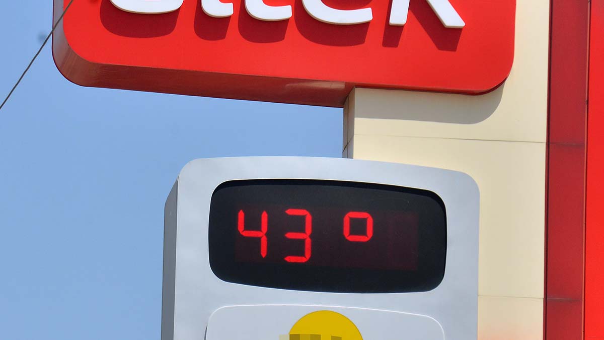 Adana'da sıcaklık 43 dereceyi gördü