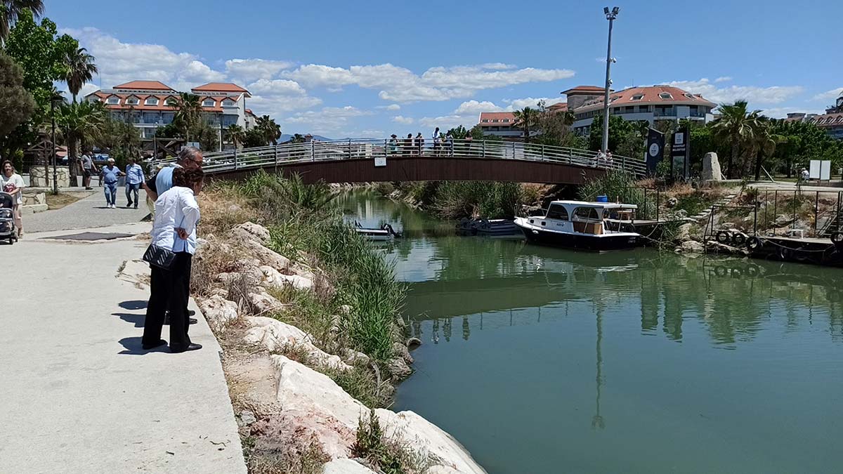 Akdeniz'de müsilaj raporu açılandı