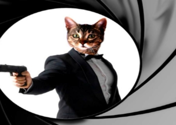 CIA’nın sıra dışı istihbarat operasyonu: "Akustik Kedicik"