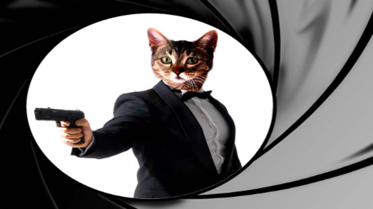 CIA’nın sıra dışı istihbarat operasyonu: "Akustik Kedicik"