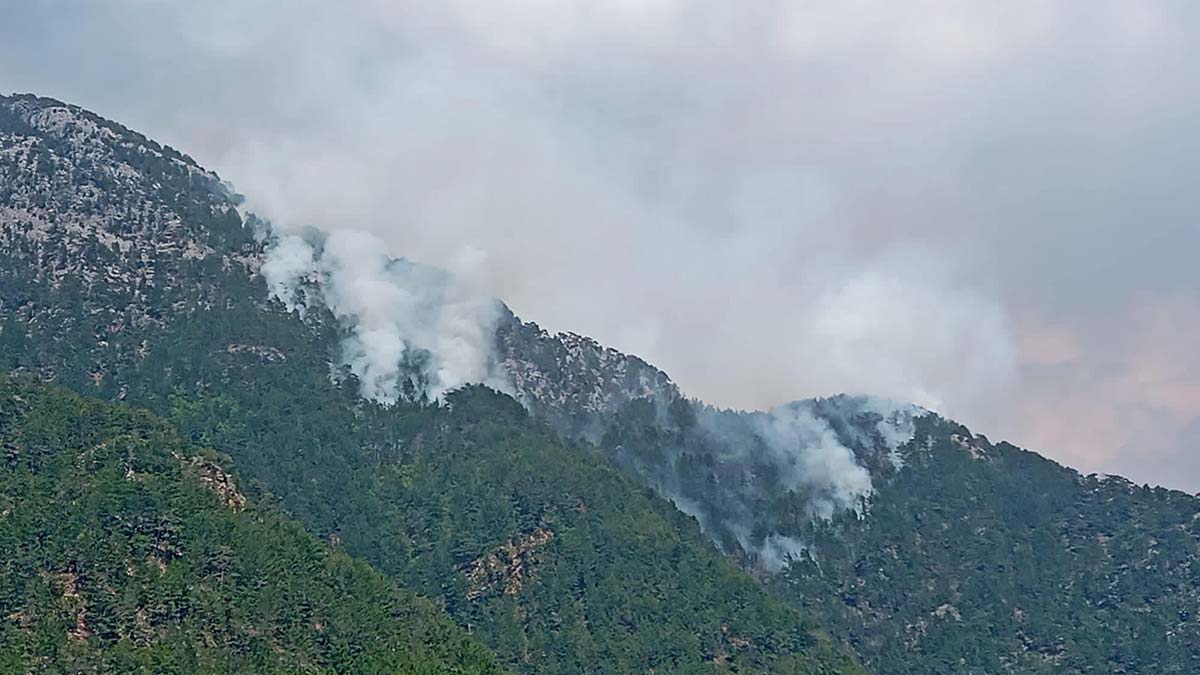 Alanya'daki orman yangını kontrol altında