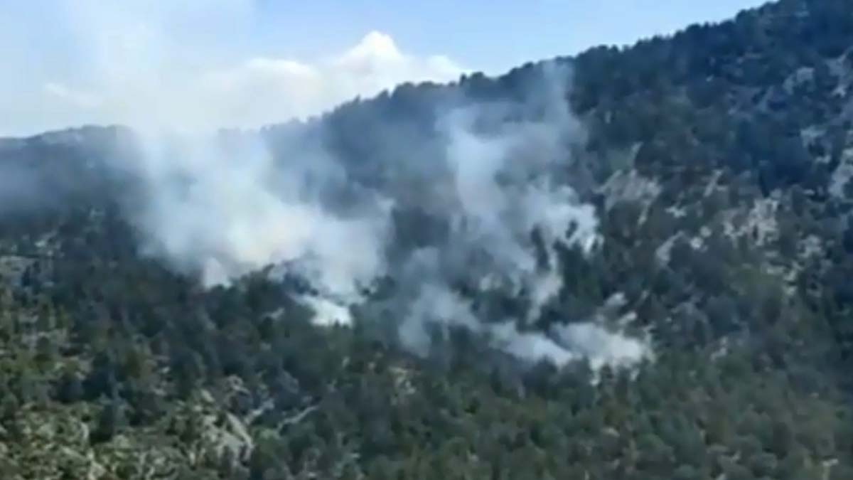 Antalya'da iki noktada orman yangını