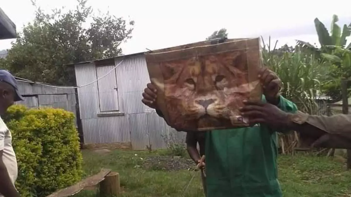Aslan fotoğraflı çanta, kenya’yı karıştırdı