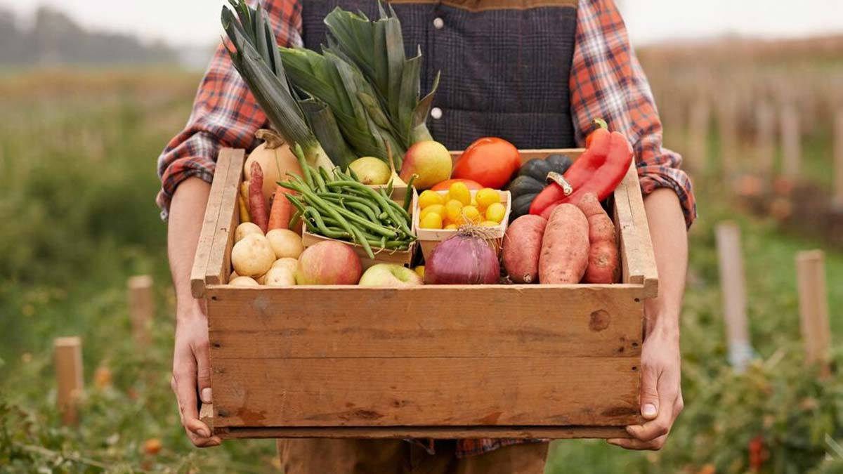 Bağışıklık sistemi için katkısız gıda tüketilmeli