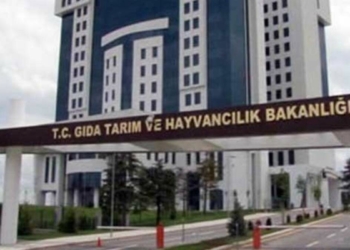 Bakanlıktan 'buğday ithalatı' iddiasına yalanlama