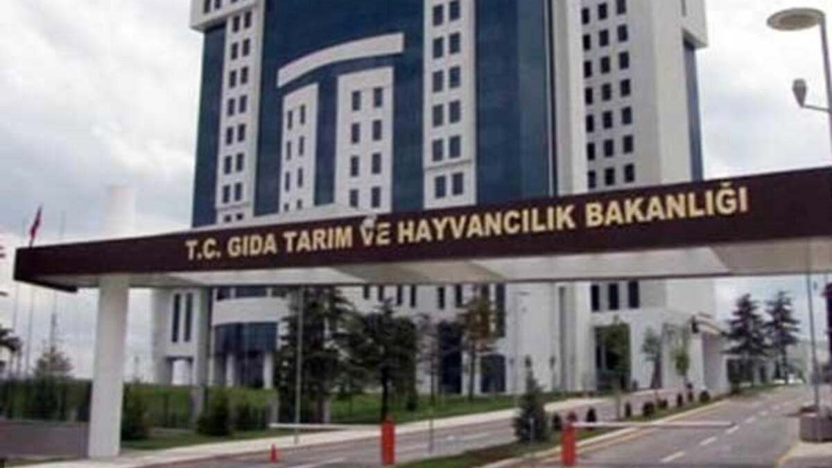 Bakanlıktan 'buğday ithalatı' iddiasına yalanlama