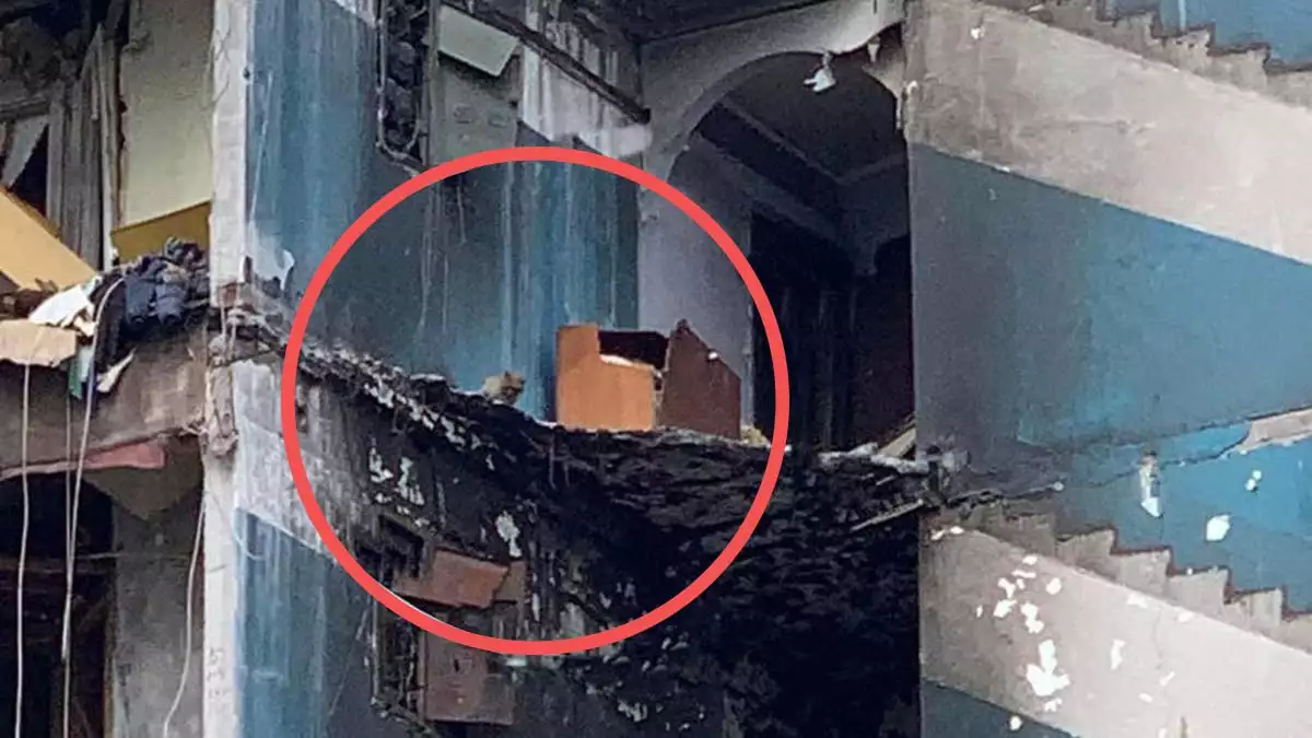 Bombalanan binada mahsur kalan kedi kurtarıldı