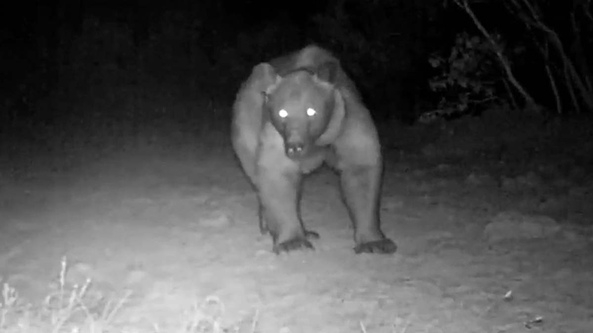 Burdur'da ikinci bozayı sürprizi