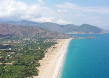 Çıralı'da ilk caretta caretta yuvası bulundu