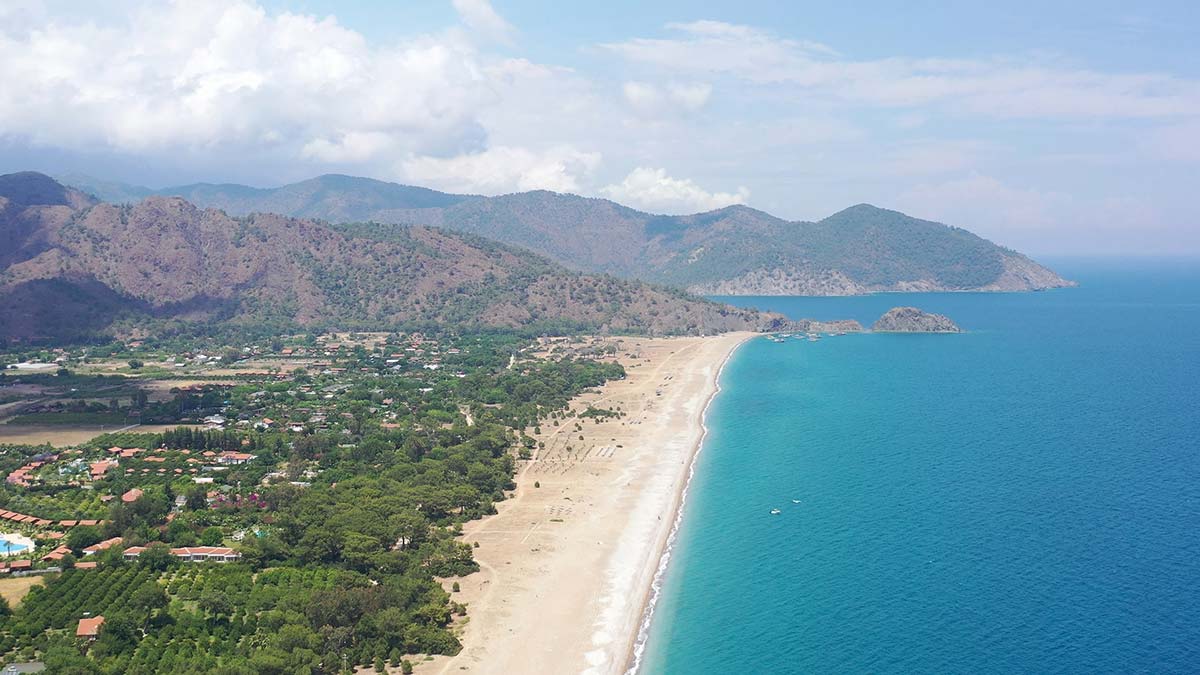 Çıralı'da ilk caretta caretta yuvası bulundu