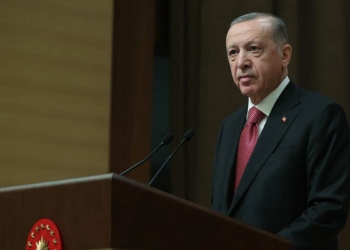 Cumhurbaşkanının ailesini hedef almak akıl karı değil