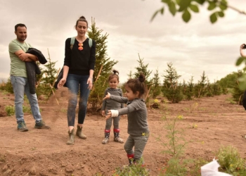Yeşilin Başkenti projesi yurt içi ve yurt dışından ilgi görüyor