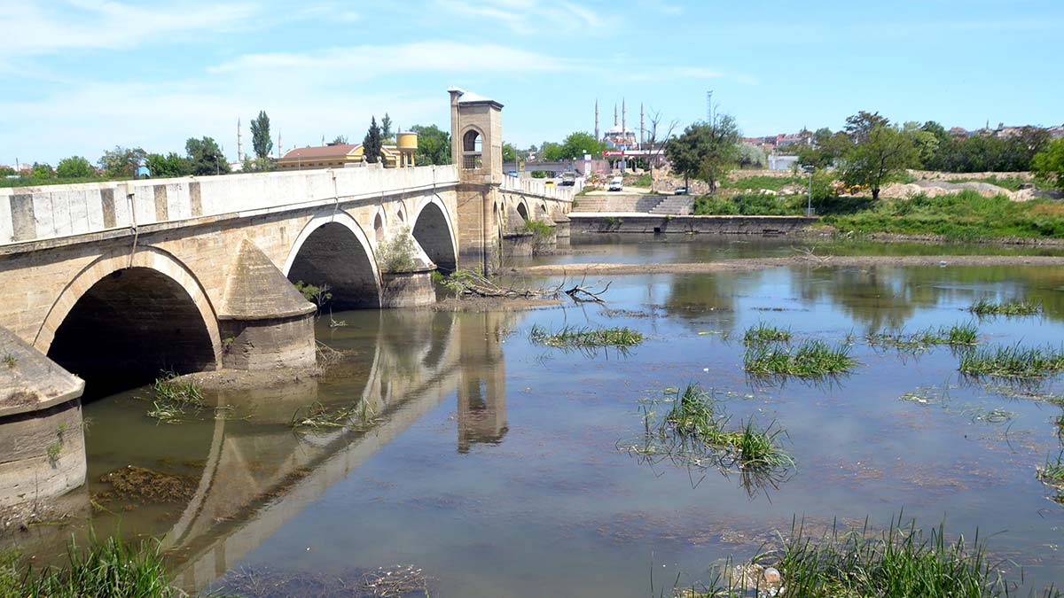 Debisi düşen Tunca Nehri otla kaplandı