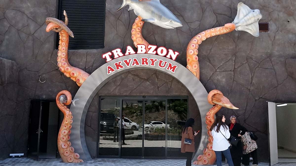 Dev akvaryumda 'hamsi' tabelası dikkat çekti