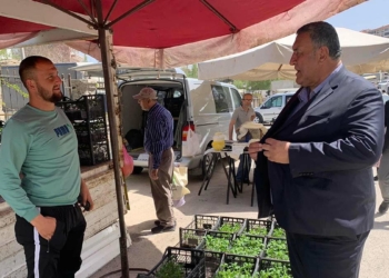 Meyve fidanı 10 liradan 30 liraya çıktı