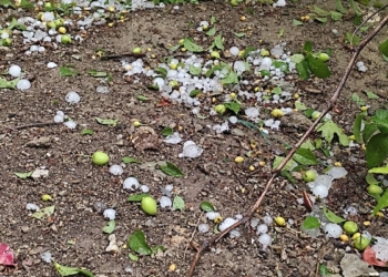 Feke'de dolu yağışı, arazilere zarar verdi