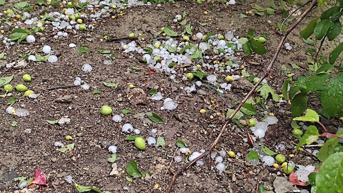 Feke'de dolu yağışı, arazilere zarar verdi