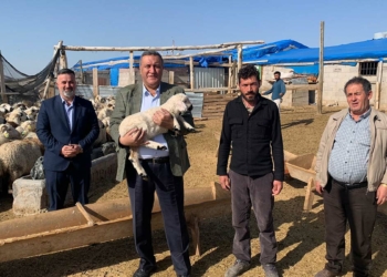 Hayvancılık sorunlu