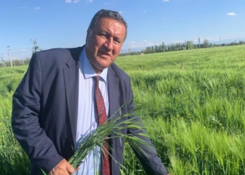 Arpada taban fiyat uyarısı