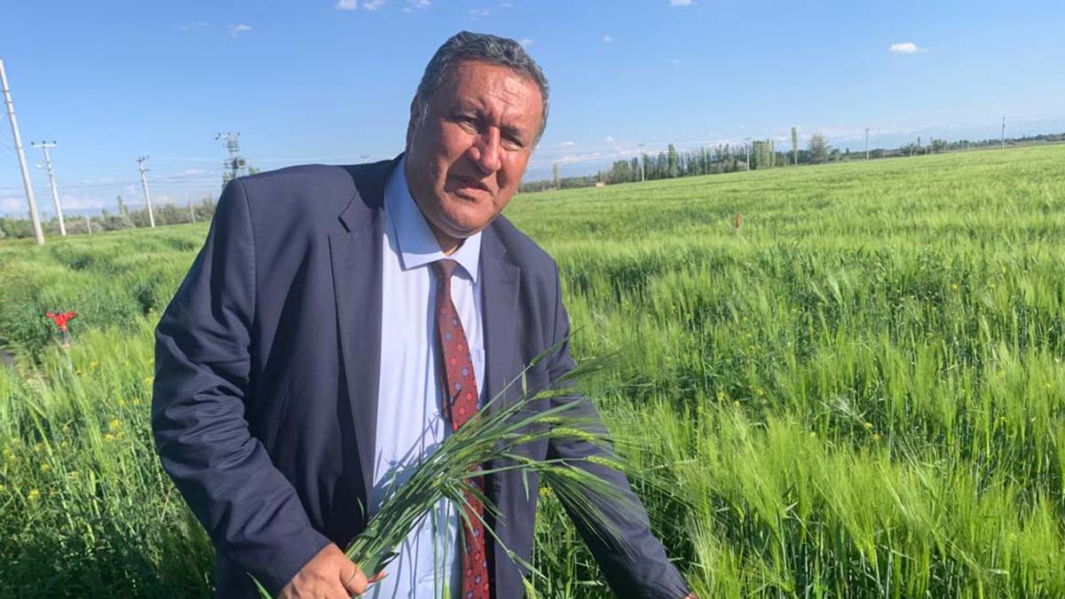 Arpada taban fiyat uyarısı