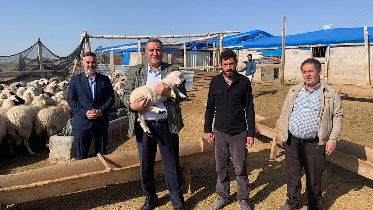 Hayvancılık sorunlu