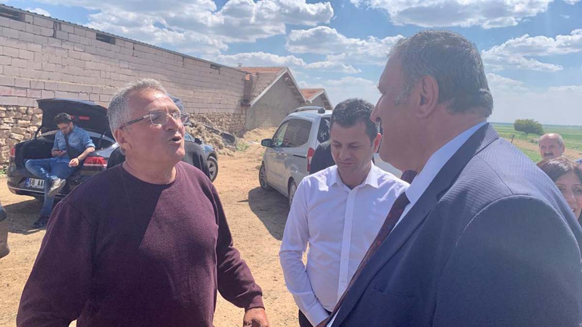 Sarımsak üreticisi; Hasadı tohumluk yaptık