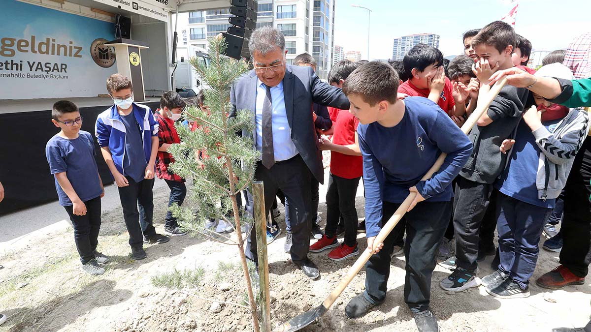 Yeşil bir Yenimahalle için ağaç dikimi