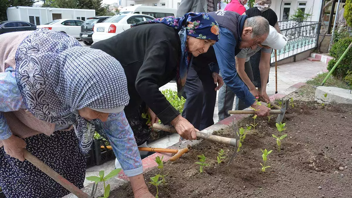 Gonul kosku huzurevinde fideler toprakla bulustu 1 - yerel haberler, keçiören belediyesi - haberton