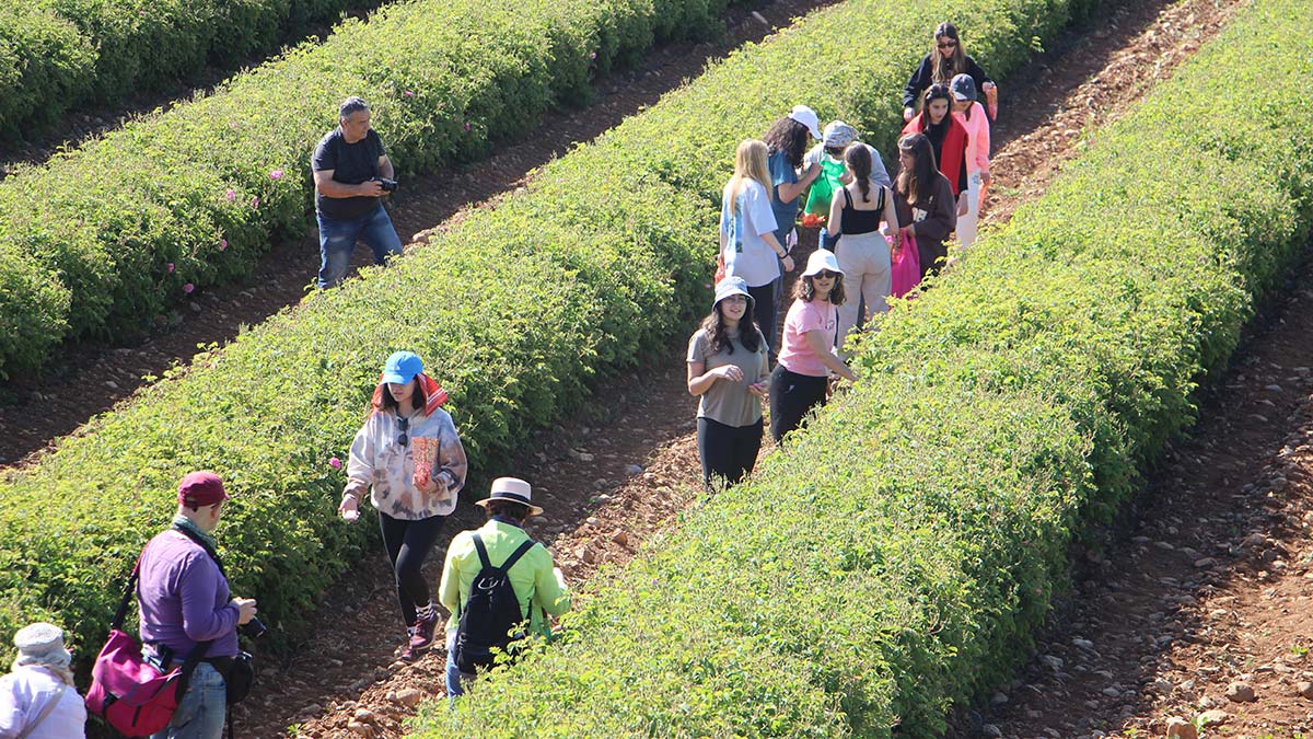 Gülün serüveni Isparta ziyaretçisine anlatılıyor