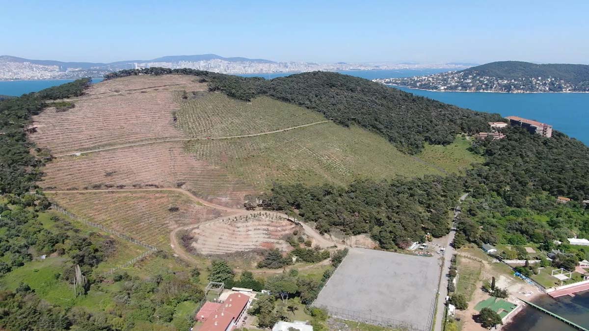 Heybeliada'da yanan alanlar yeşile dönüyor