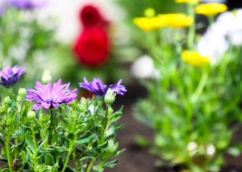 FLOWER FAST'in açılışı yapıldı